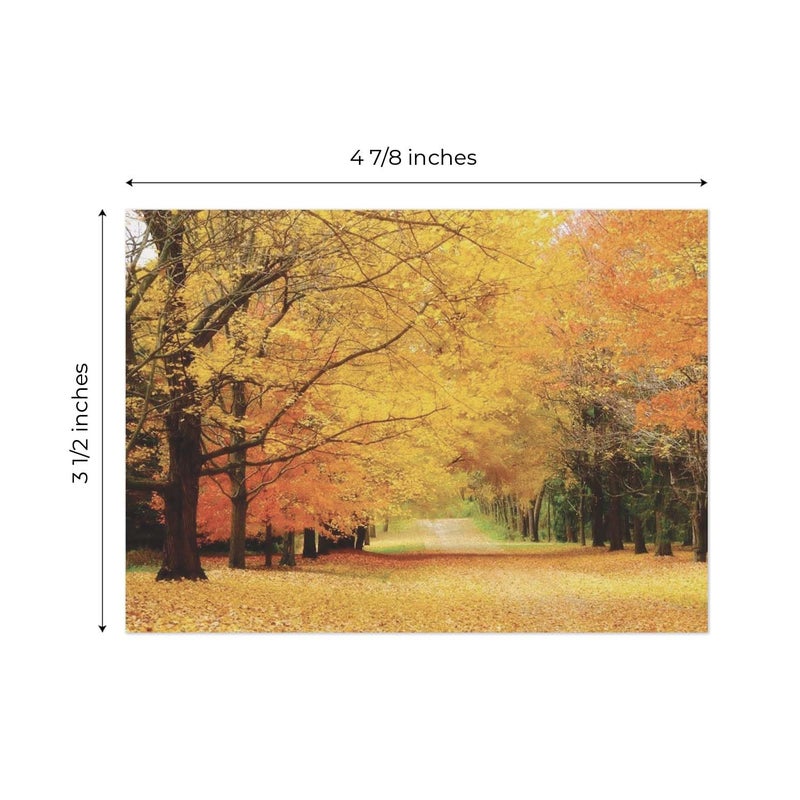 Canopy Street Breathtaking Landscape Note Card Pack / 36 Nature All Occasion Greeting Cards With White Envelopes Set / 6 Colorful Outdoor Scenery Designs / 3 1/2" x 4 7/8" All Occasion Sympathy Cards - Image 5